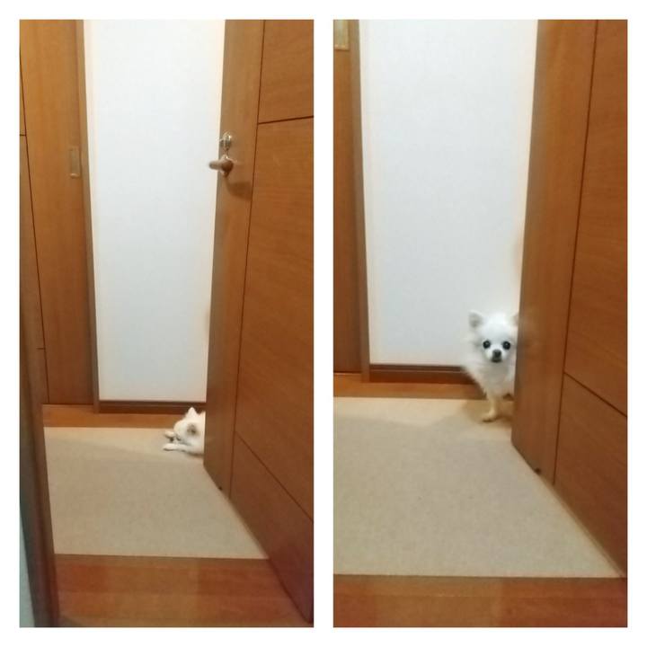 646acd63 90f7 4043 9adb bac5023b7cf4 1683798910455