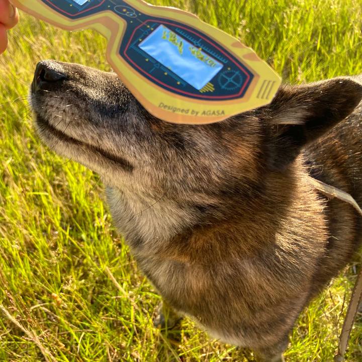 646af814 9e58 474f 98a1 e77b2a656d05 1592735167782