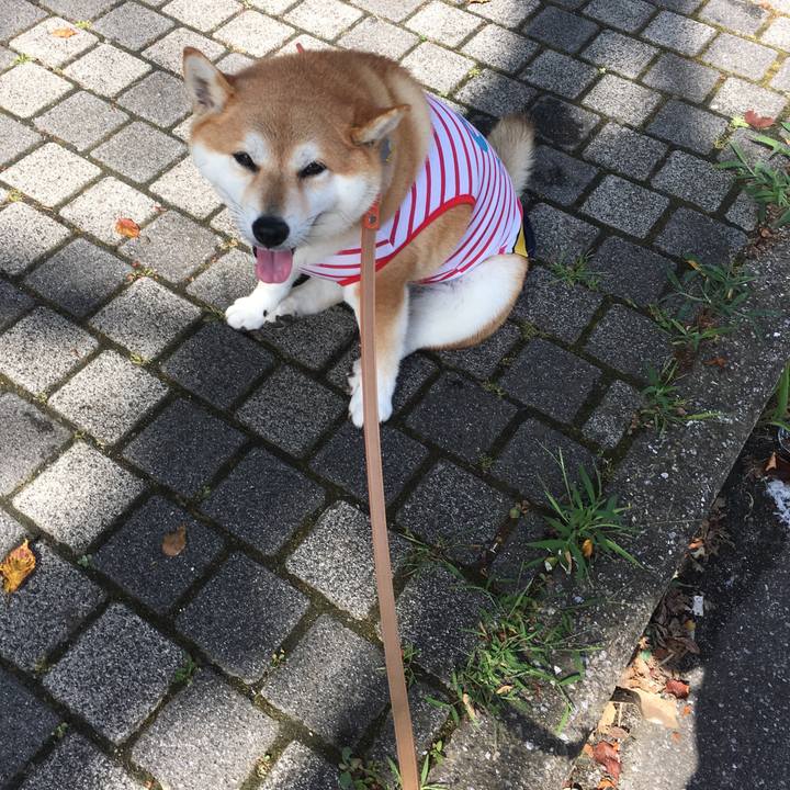 646b5952 4d88 445e 8616 31d7f646ea04 1565571394479