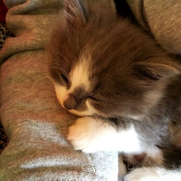 646b6580 4c10 43a8 aa3c af3905ce2c38 1558499712013