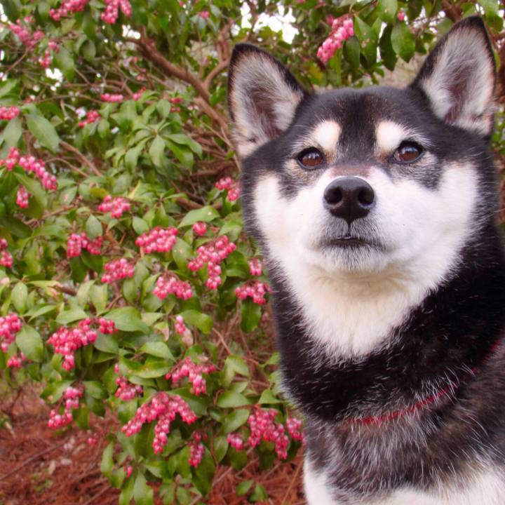 646b7a7e b215 4215 b742 57e45b525855 1553642358020