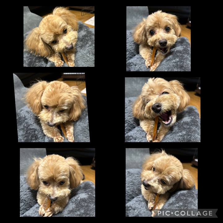 646bdb4a 18db 4b4f 9677 d3cb293d967b 1747506749161