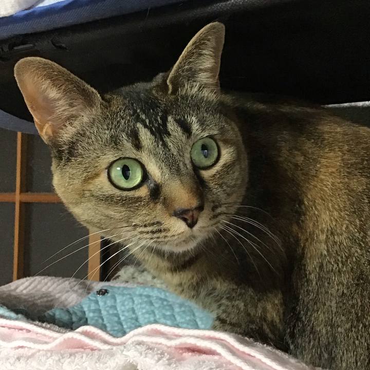 646be9c3 7deb 4889 8310 ca1d2e2f287f 1683709828195