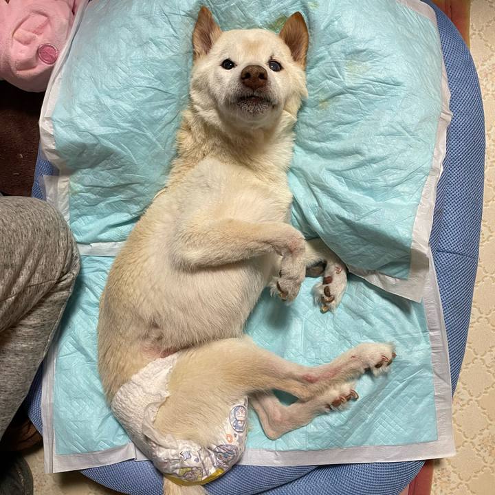 646c16bb c217 4d19 8855 191b80736d71 1678800390692