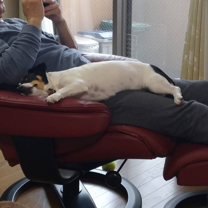 646c1b4c ccea 4f42 9349 940213e24b5e 1585457787541