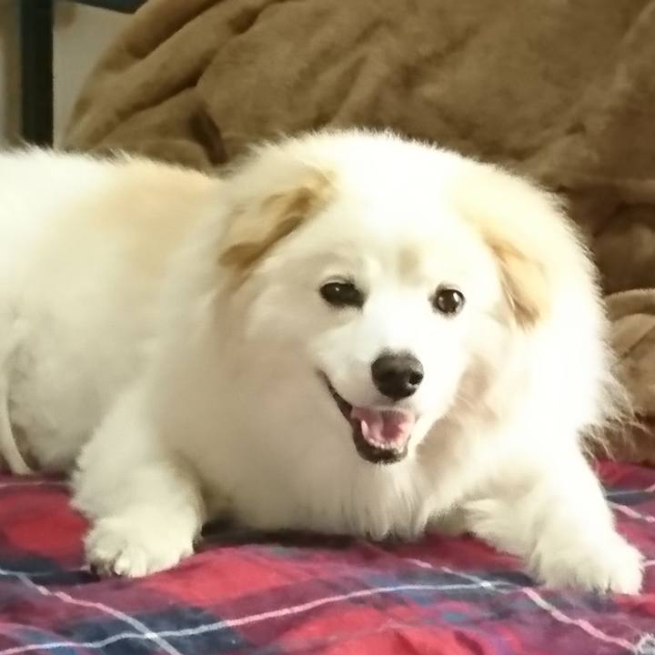 646c4d3f 23cb 4097 b90d 9c41d63ab805 1528093217275