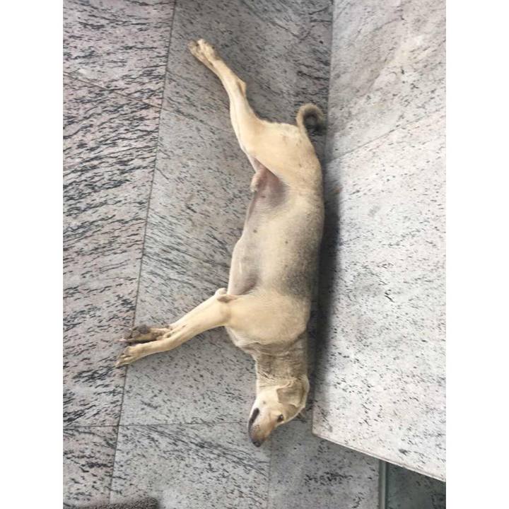 646c511e 230e 4581 949f a820c3045f5e 1532907624096