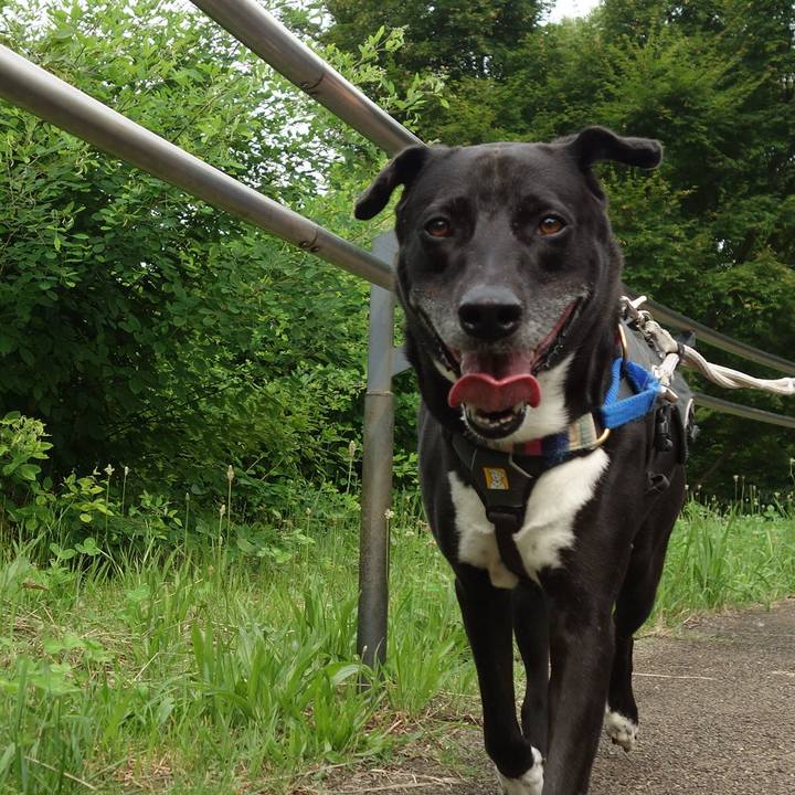 646c5a08 6c4b 438d bec7 d931fbe18603 1655770080002