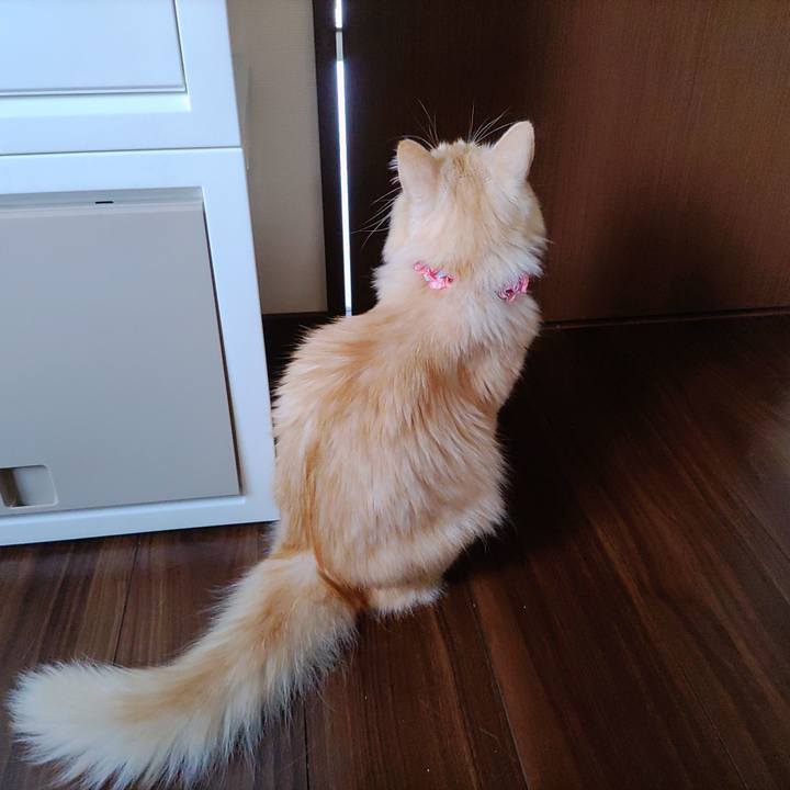 646c8601 6b8a 4f95 9c6a f0c5f3b7a687 1665883561200