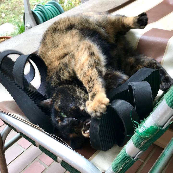 646c8766 b0c6 4402 9ef7 c3bd71fcf06f 1512019858323