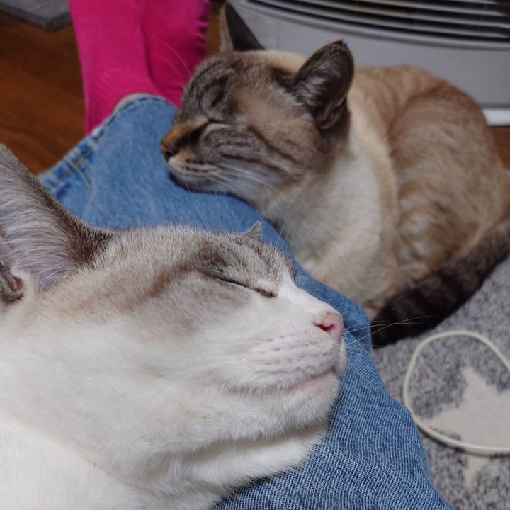 646c950a d49e 4ae9 8ddc 6b455362878b 1732098049827