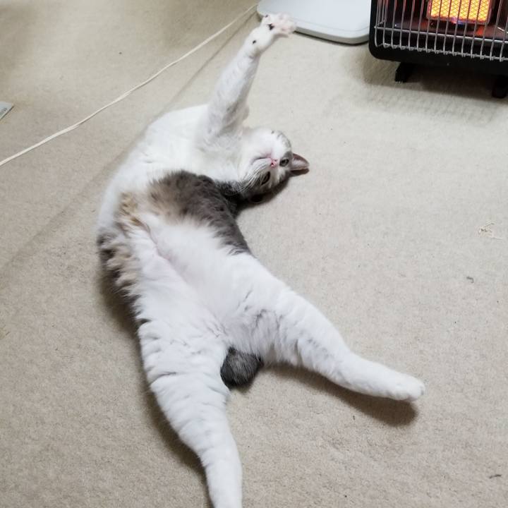 646cd8dd 58bc 4555 bb30 b4e7d6305c5d 1601993605146