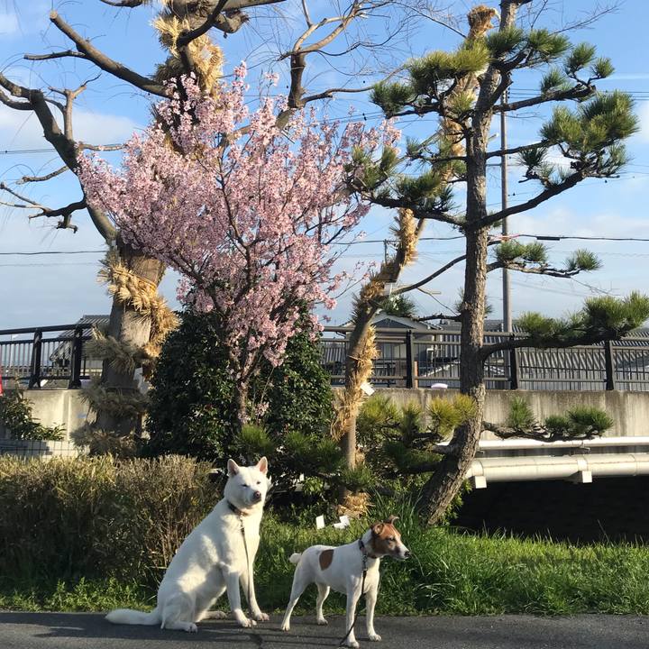 646d1053 2725 4cfd ab1e b6e6673d6159 1521331728520