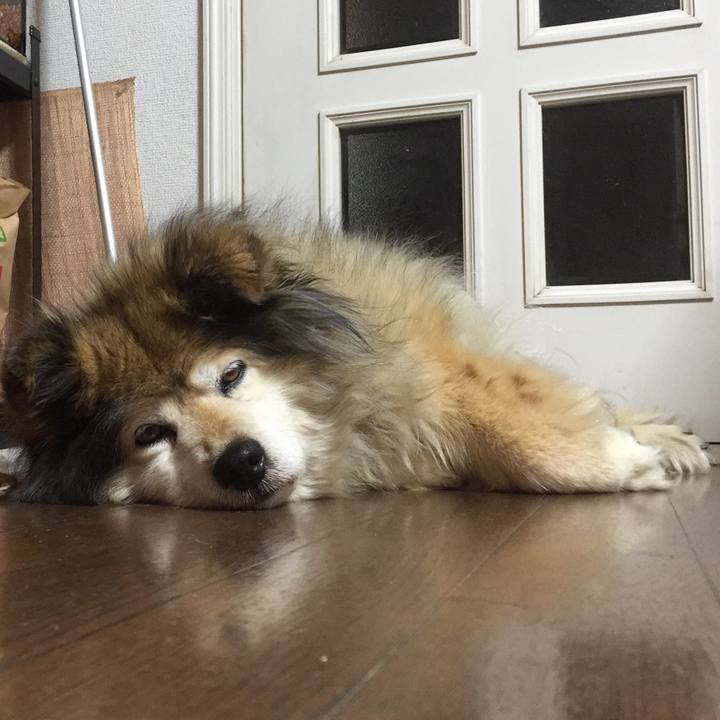 646d1f82 2902 4b14 8dd9 98960c3021d2 1550141290522