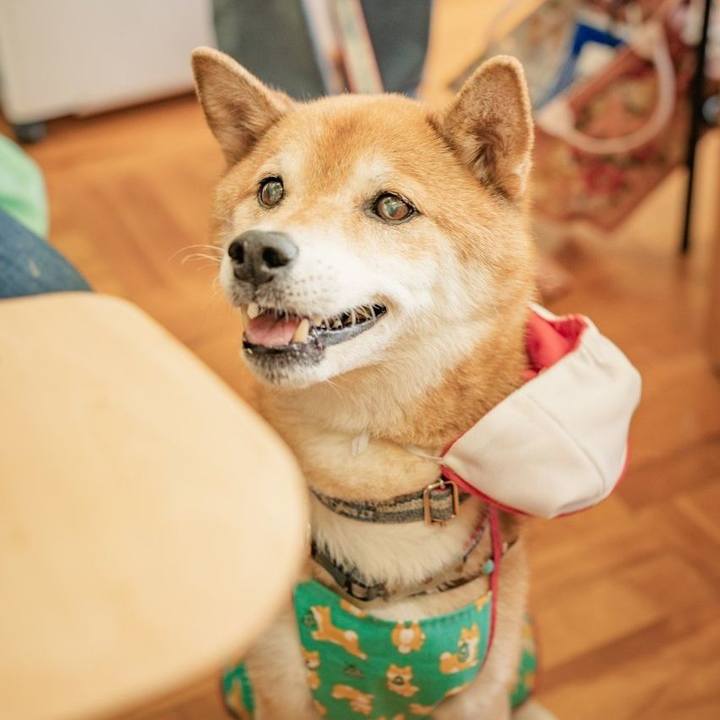 646d29e7 270c 45fb 9593 f24a7840afd1 1724638221917