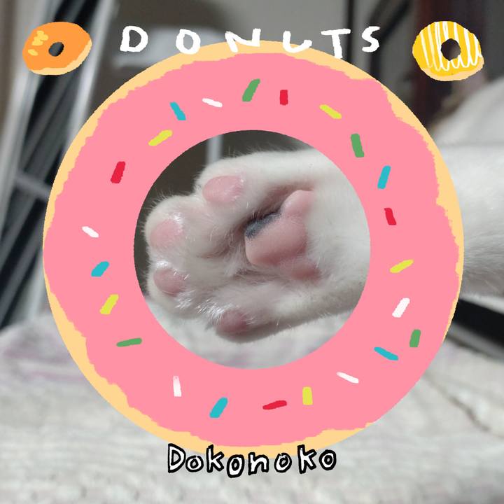 646d3e8a bf41 4007 9cd8 af99e5e71b1d 1744505329642