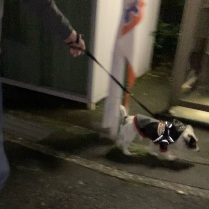 646d449e 9120 4f55 a557 730bc9e9ad9a 1651408012619