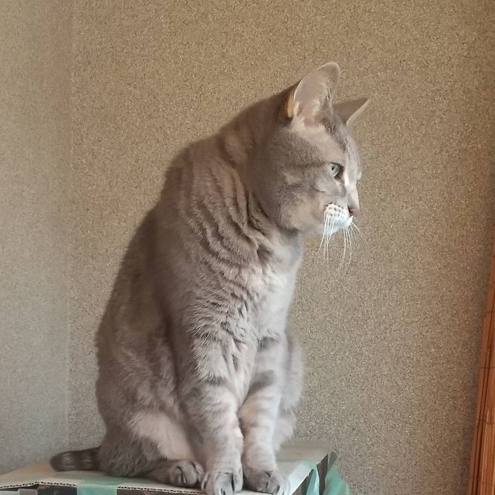 646da353 92ac 47d9 b65c bb864d9f29b9 1666821451168