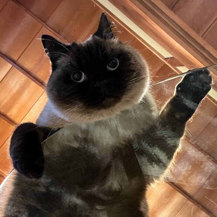 646daefe fa37 4d3a a66e 93180f55c99e 1715251986133