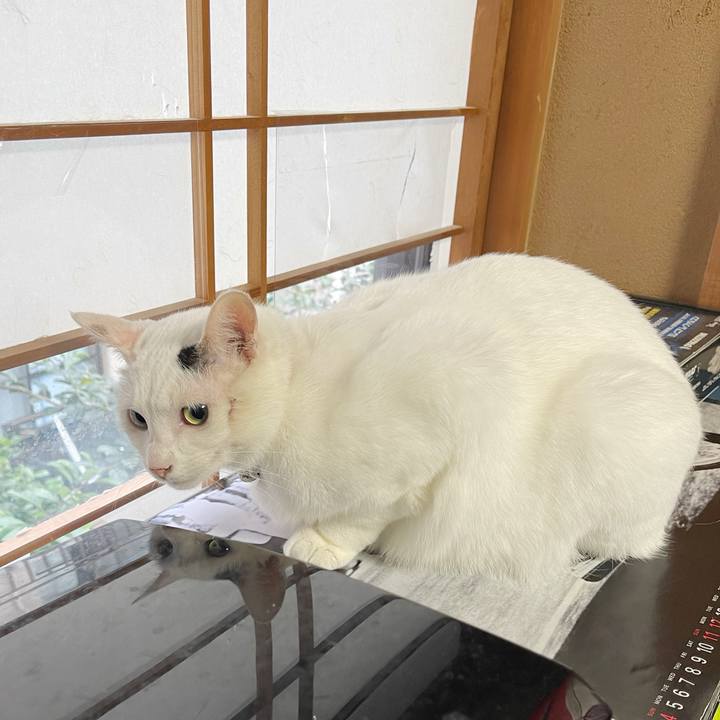 646dceb6 2c14 4a2c 92e0 8d0b5ca3f775 1762987658072