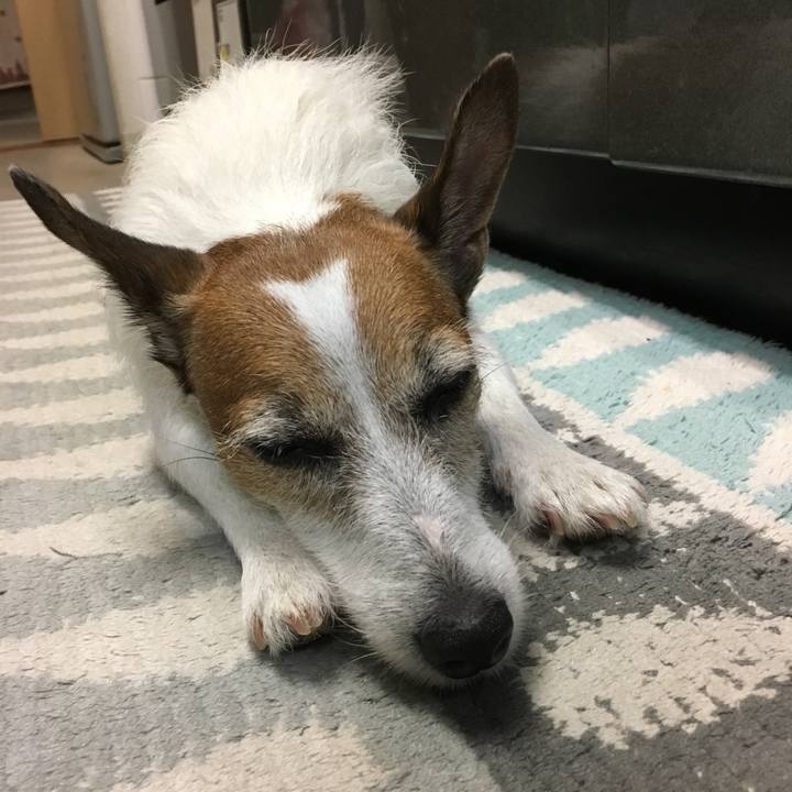 646dd166 f832 4707 9b61 d18b873876b7 1570400824507