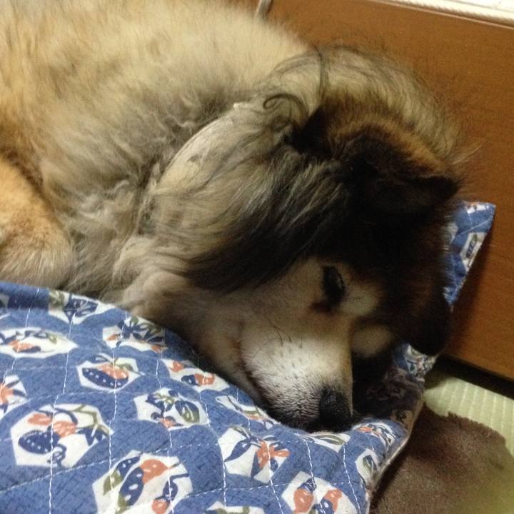 646deed0 5670 4148 b45e 47d73509b08f 1553839386034