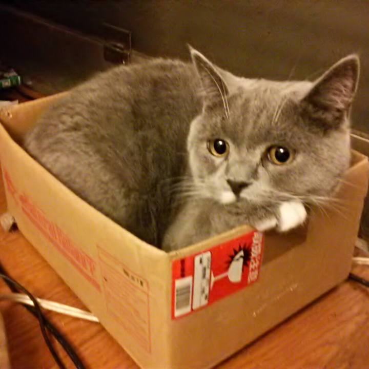 646e0813 7e3c 4187 af67 c65671ba98d4 1544863072975