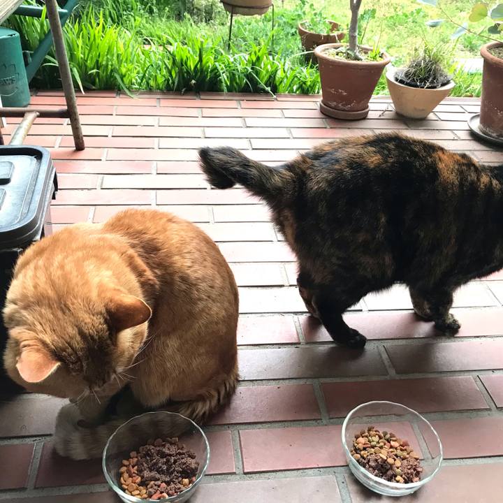 646e0bd1 4f87 44fc a812 3e059c972743 1617238679257