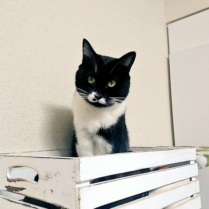 646e0bec f233 4bd5 8e83 37d9f3c87a58 1511264676227