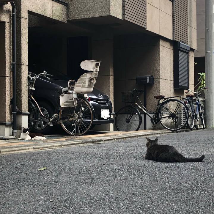 646e2a5a 669f 4f47 ae32 8231813db495 1560604431139