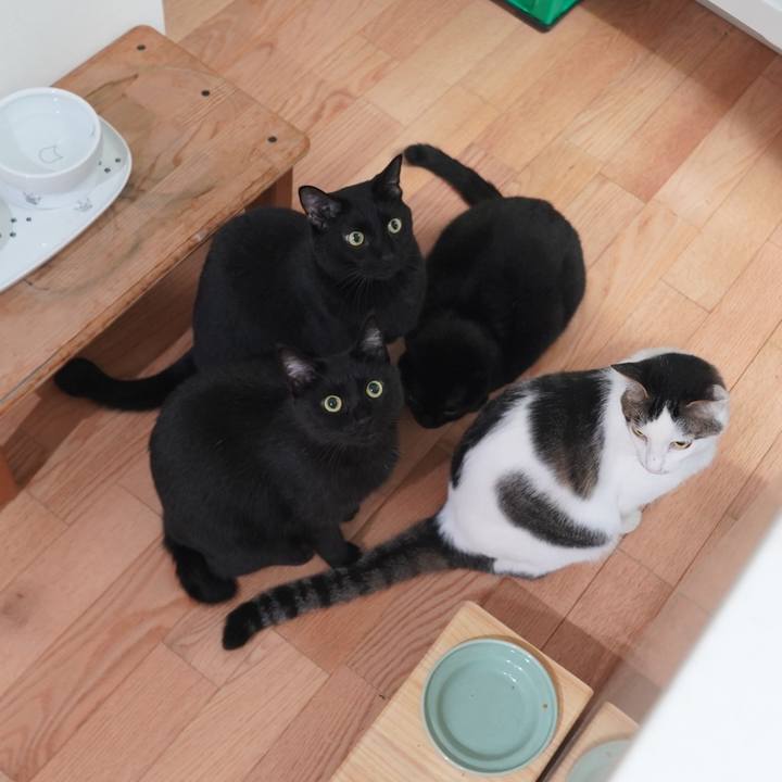 646e663c c11c 4139 af78 155c5723df1a 1601094173951