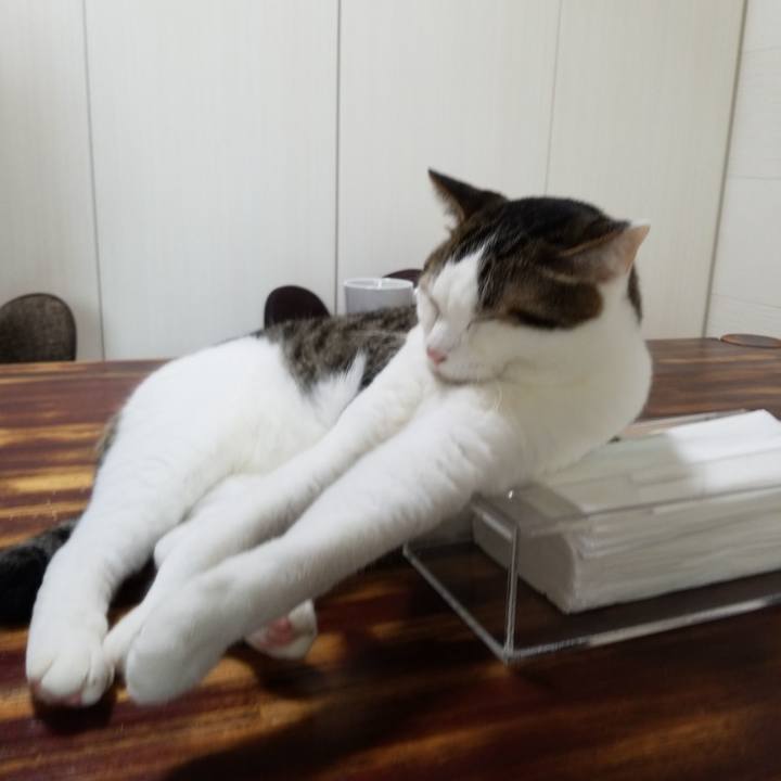 646e6e27 399c 4af7 9993 0c3f961e4227 1565824529352