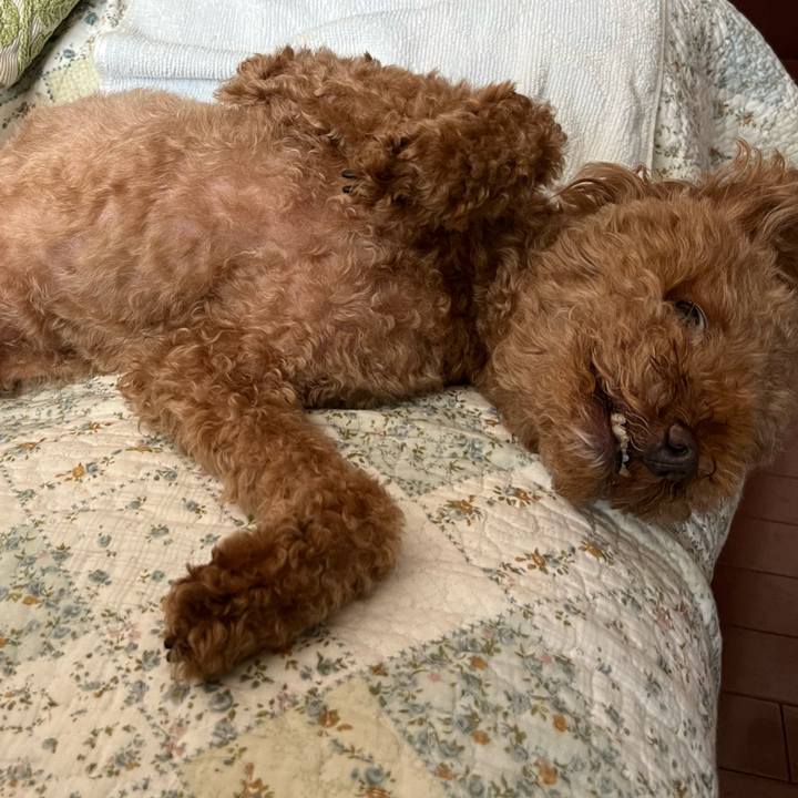 646e770f 77cd 4a26 bbd9 374b3dbfb231 1661222605434