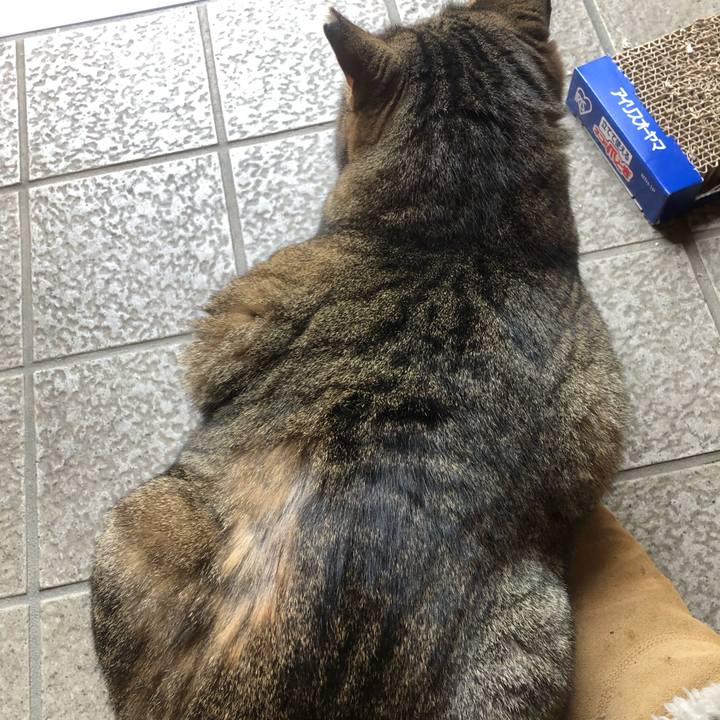 646e9253 24f2 479d bc9b ee7b837fab06 1552996235577