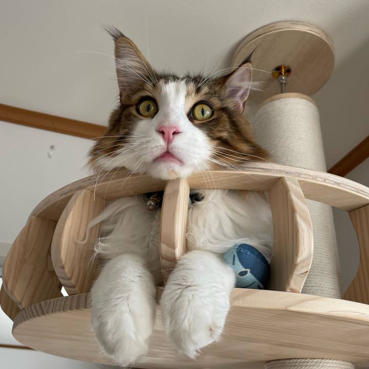 646ea611 fb04 4e05 9bd0 724c7d203acb 1651269856860