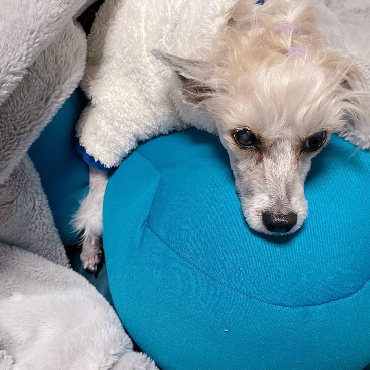 646eb29c 5a57 4bf4 92ed ca7079119167 1771235473676