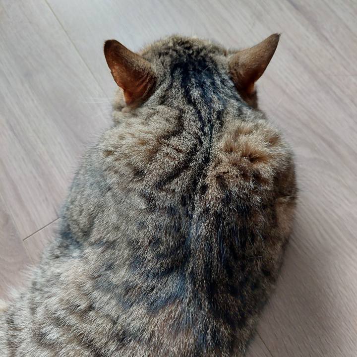 646ed691 c78f 42b0 9f4f 472cd01eb246 1689984024684