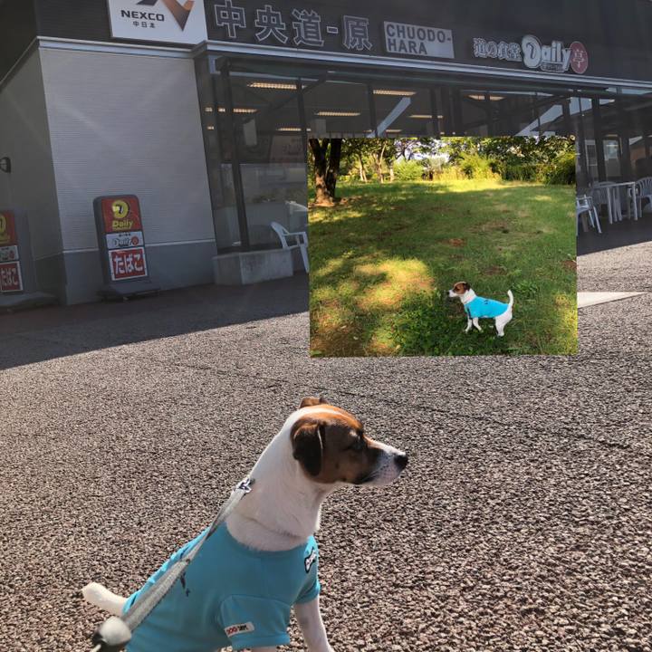 646ee30b 76e4 4021 90a4 c8e0b07ae84b 1566689389998