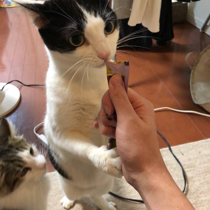 646ef9c7 ab70 4013 84ee a4a08e12c0f6 1517195705088