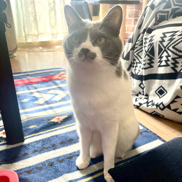 646f0c9f 8824 4115 a790 e62618954b91 1667095710611