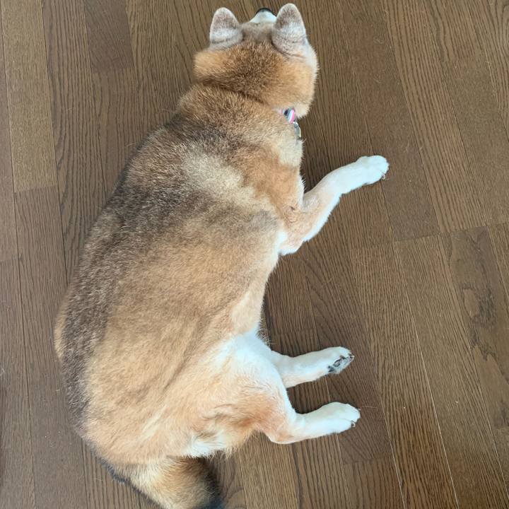 646f76f2 2c10 4c9a 9e30 5ce4060dcc25 1663379439049