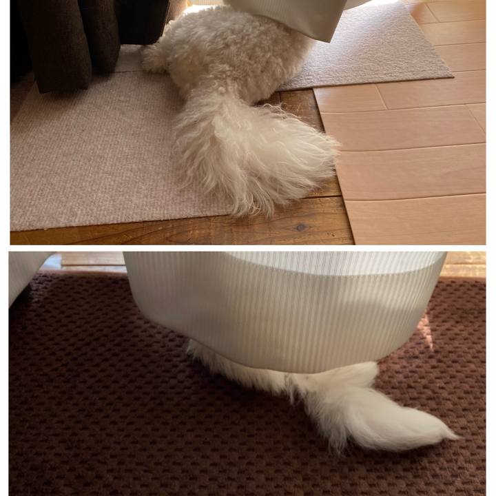 646f8b66 9e70 47ae ae45 a142c1ac4b9f 1772336978190