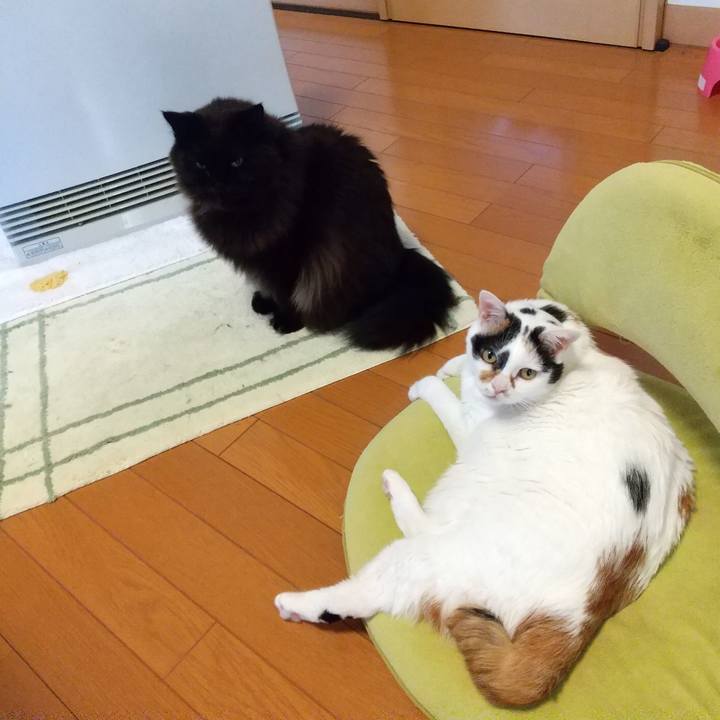 646f9fdd d9ca 4522 93e3 ca68fa71dc53 1610492402585