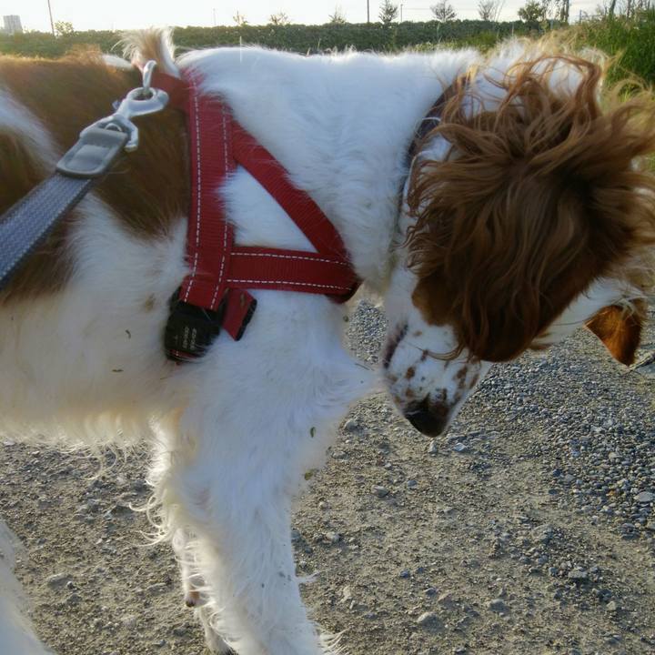 646fa1f1 3144 47f7 8965 876e17691df0 1538728697962