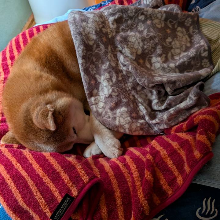 646fd036 1cfd 4643 b8ee 5c28d7665e60 1763344862495