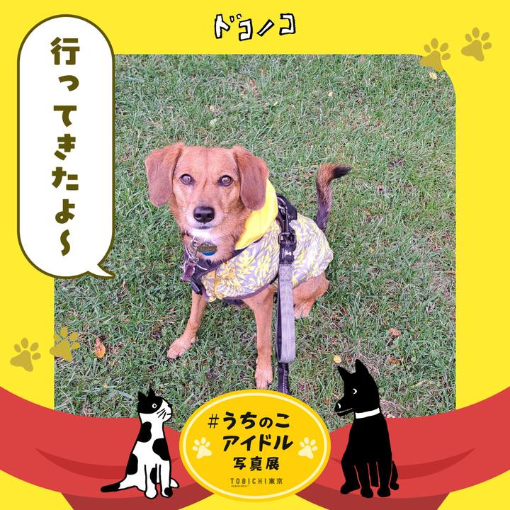 646fdad5 b51e 4b94 b012 6fe244df7c1d 1761165552560