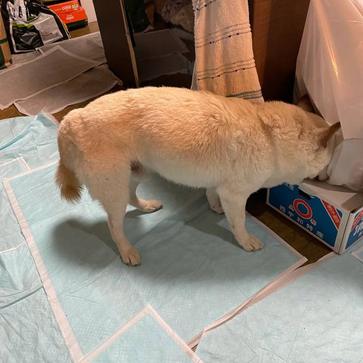 64703841 cb91 4eec 9e76 08b56489724a 1635770439109