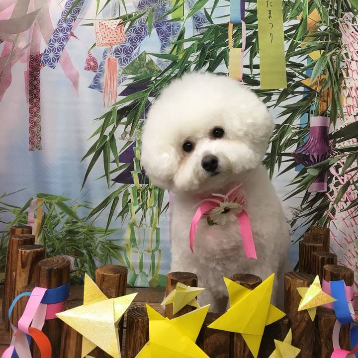 64704def 3ee5 4bce b271 4bc0d895f120 1530601690745