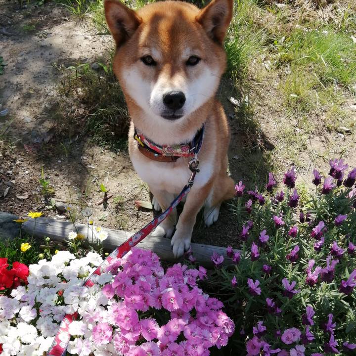 647064f3 c345 4646 a10c d785e520a974 1589415974769