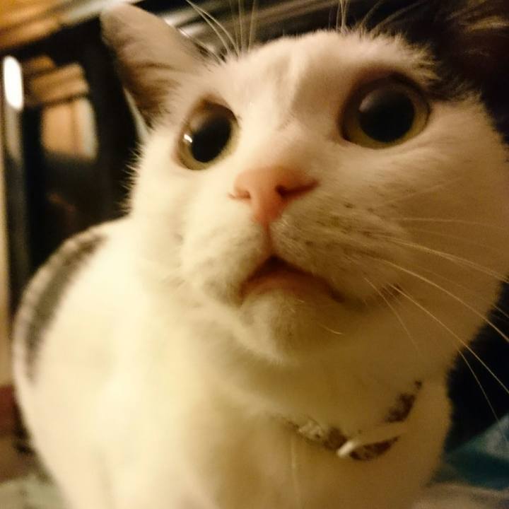 647067d9 fb2c 4814 932f c0770b4c9ec8 1513512641102